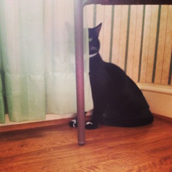 1486764_10152049841267649_945147457_n