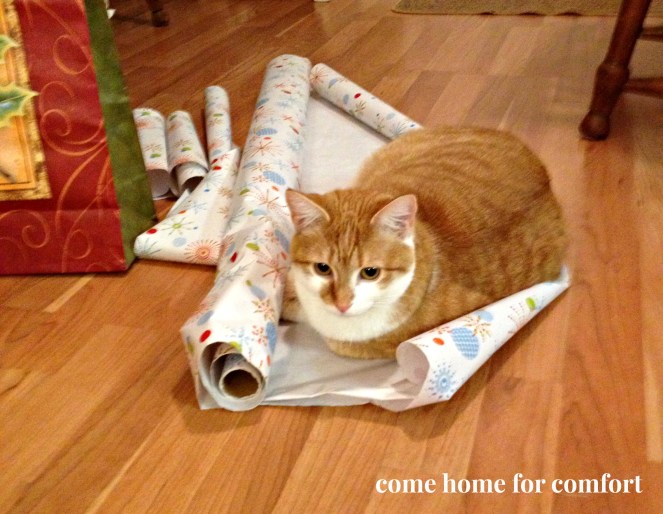 peggy come home for comfort