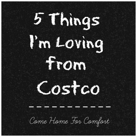 5 Things I'm Loving From Costco from Come Home For Comfort