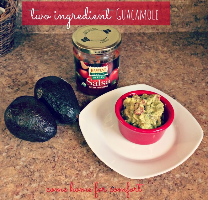 Two Ingredient Guacamole