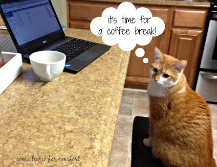 coffee break kitty