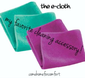 My Favorite Cleaning Accessory Ecloth