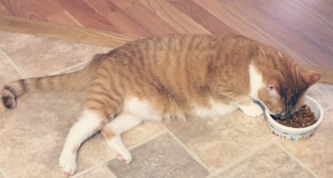 peggy breakfast in bed