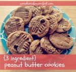 Peanut Butter Cookies that only use three ingredients Come Home For Comfort