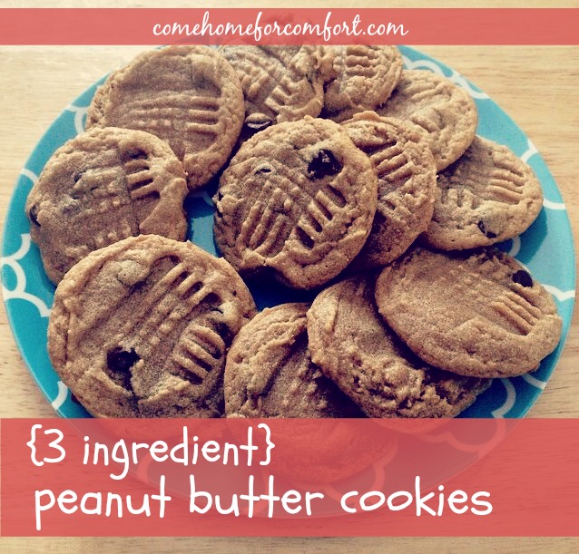 Peanut Butter Cookies that only use three ingredients Come Home For Comfort