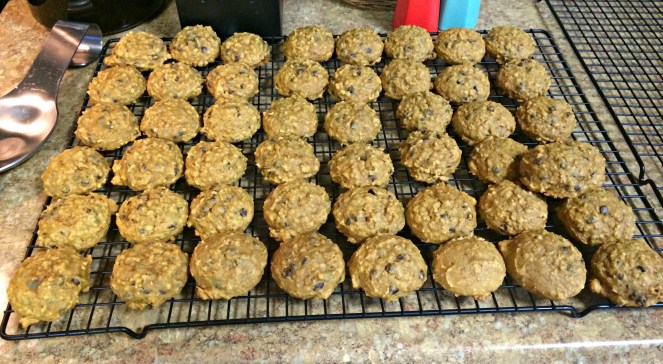 Pumpkin Oat Chocolate Chip Cookies Come Home For Comfort