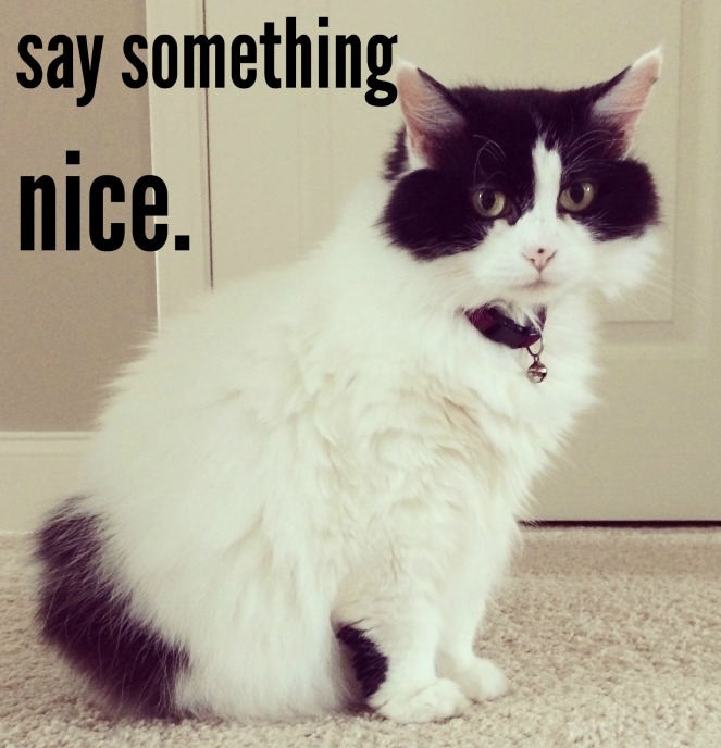 Take the compliment challenge and say nice things to people!
