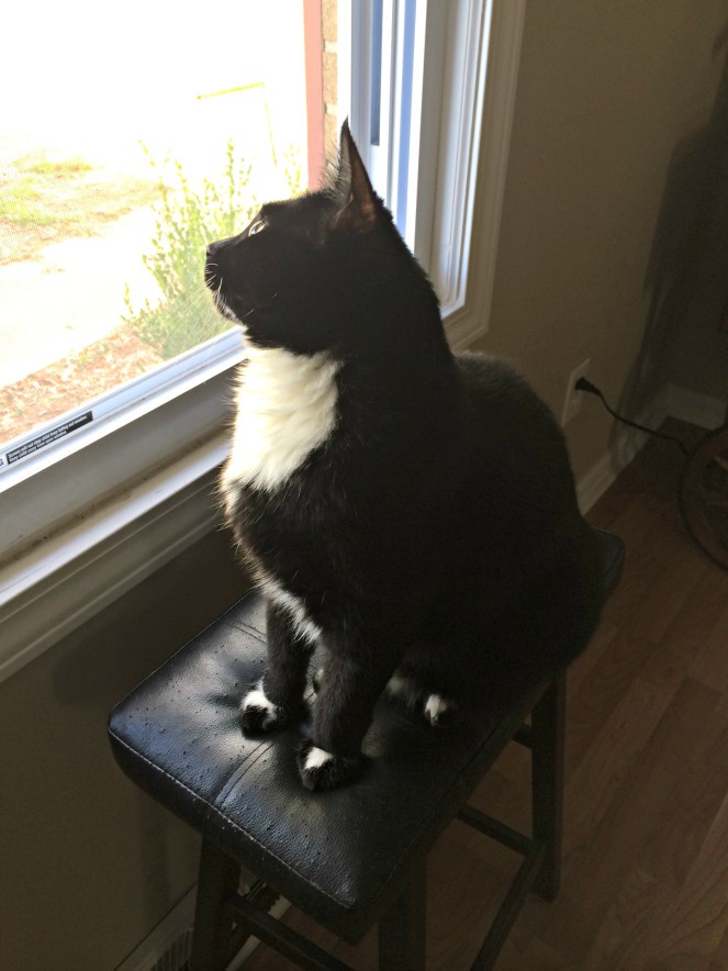 thelma lou bird watching