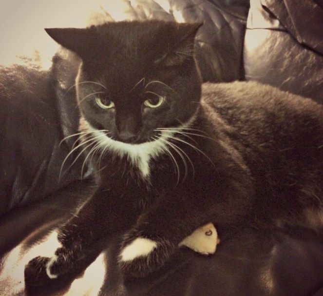 Thelma Lou hiding the mouse