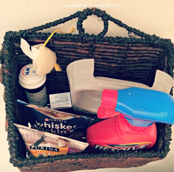 Organizing Pet Supplies Come Home For Comfort 2