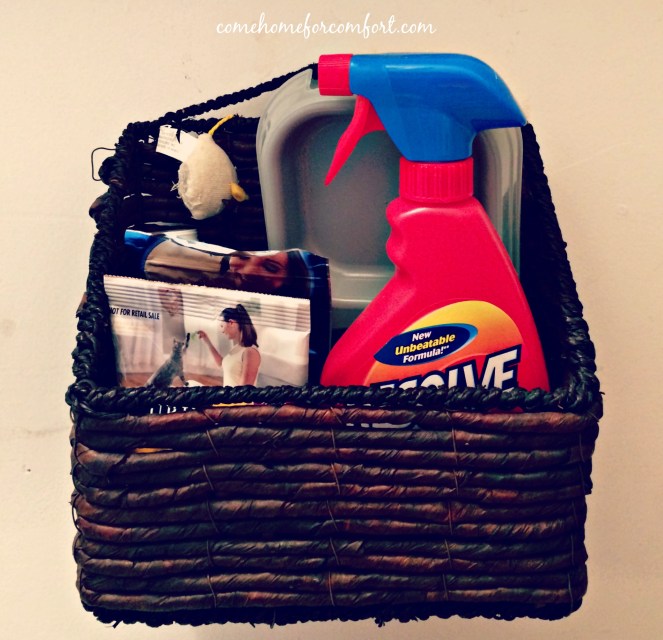 Organizing Pet Supplies Come Home For Comfort