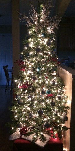 cmas tree 2014 in the dark