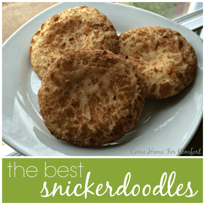Snickerdoodle Recipe via ComeHomeForComfort.com