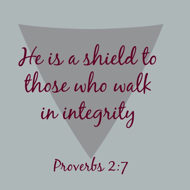 He is a shield via ComeHomeForComfort.com