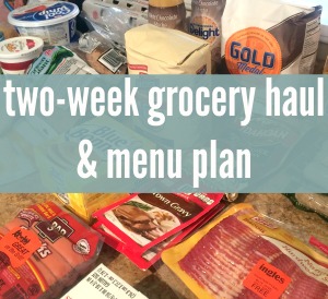 Grocery Haul and Menu Plan for two weeks of meals!