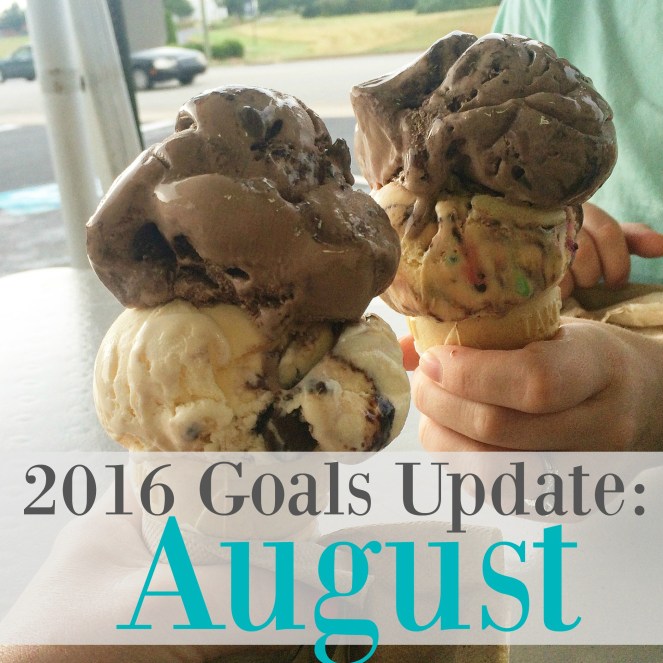 2016 Goals Update for August via ComeHomeForComfort.com