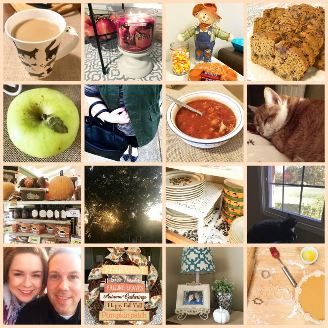 falling-for-fall-photos-recap-2016