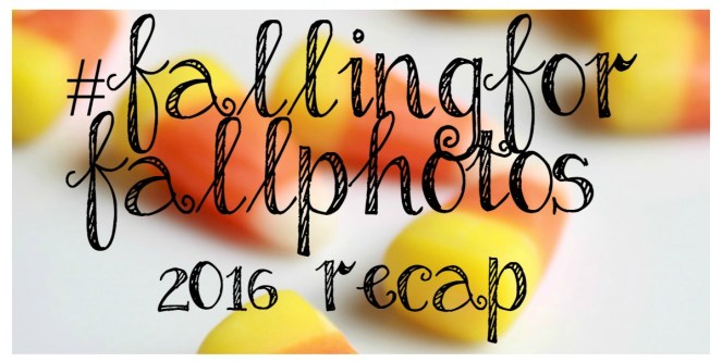 recap-falling-for-fall-photos