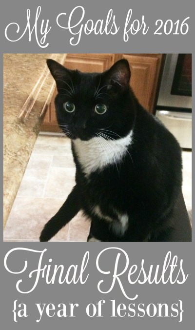 my-goals-for-2016-final-results