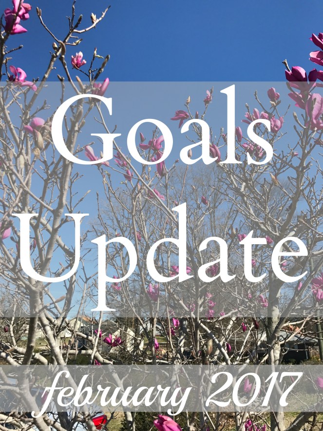 goals-update-feb-2017